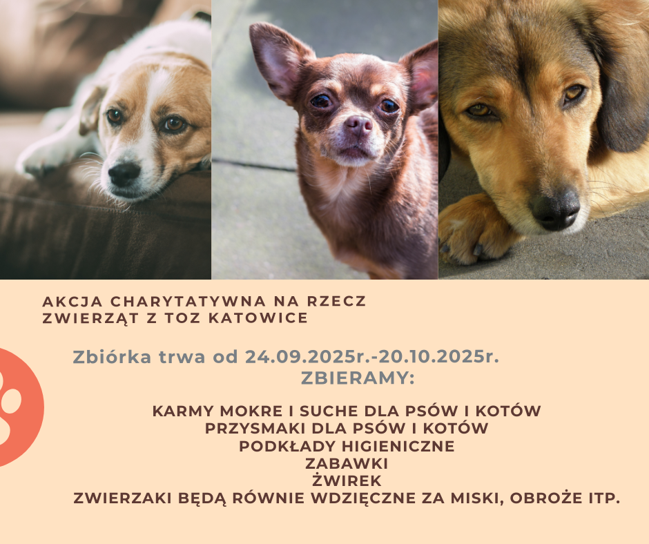 Rojo Marrón Collage Concienciación del Rescate de Perros Publicación de Facebook1